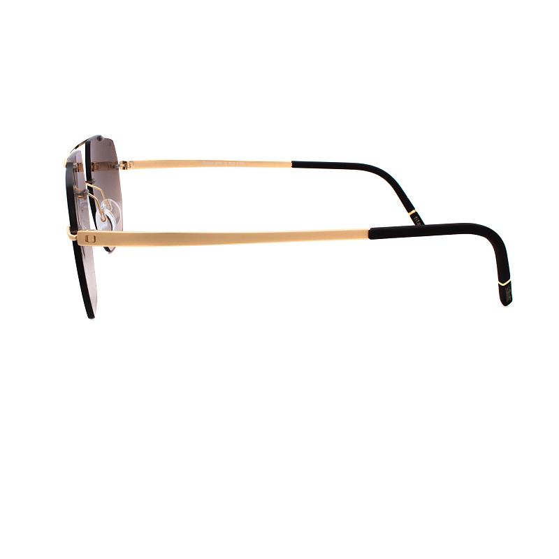 Silhouette 8746 7620