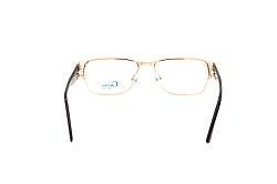 genex 1136 c021