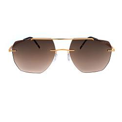 Silhouette 8746 7620