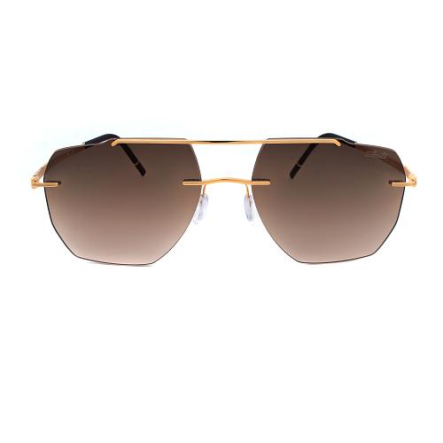 Silhouette 8746 7620