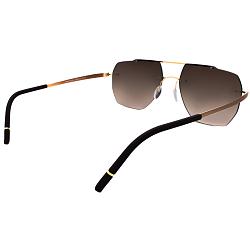 Silhouette 8746 7620