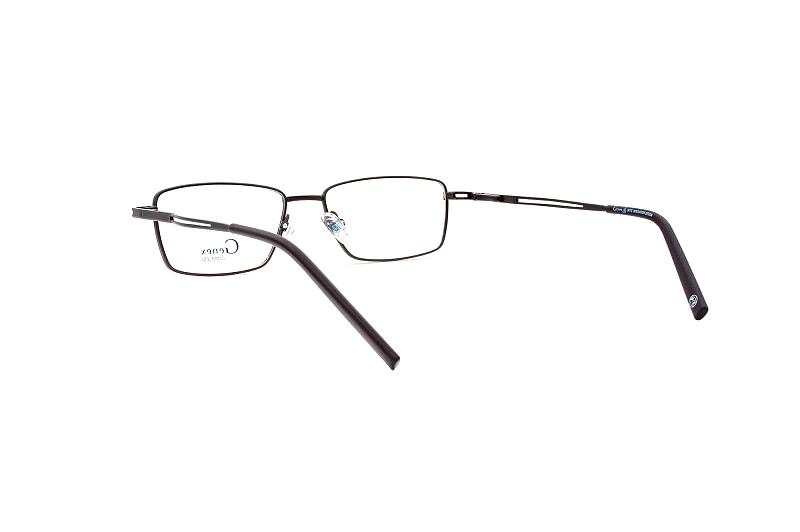 Genex 1273 c017