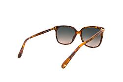 SCOTCH & SODA 7053 102