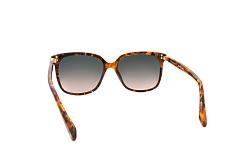 SCOTCH & SODA 7053 102