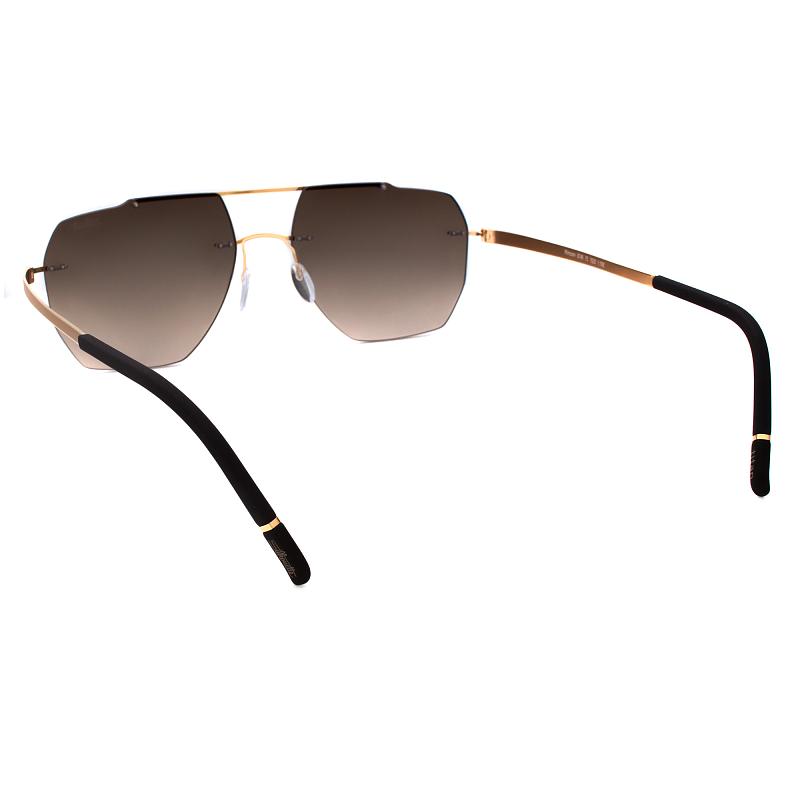 Silhouette 8746 7620